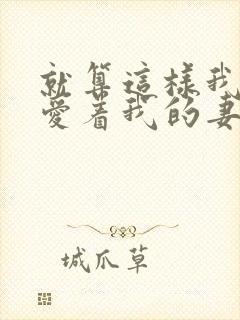 就算这样我依然爱着我的妻子