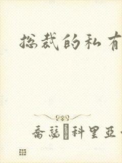 总裁的私有宝贝