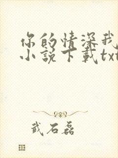 你的情深我不配小说下载txt