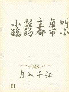 小说主角叫叶君临的都市小说