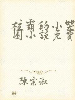 校霸的小哭包校园小说免费阅读姜甜苏