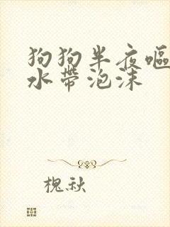 狗狗半夜呕吐黄水带泡沫