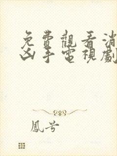 免费观看消失的凶手电视剧封面