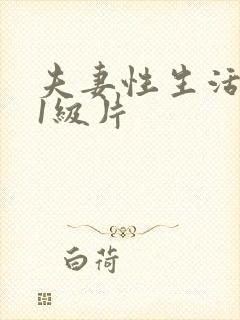 夫妻性生活黄色1级片