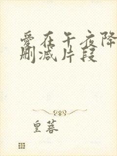 爱在午夜降临前删减片段