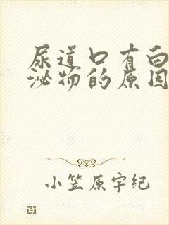 尿道口有白色分泌物的原因封面