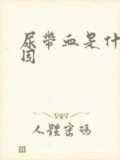 尿带血是什么原因