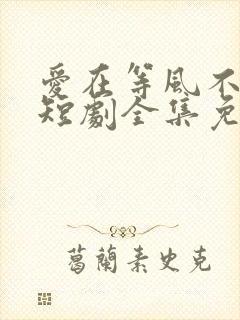 爱在等风不等你短剧全集免费观看