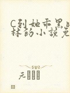 C到她乖黑暗森林的小说免费
