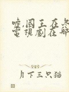 嘘,国王在冬眠电视剧在哪免费看封面