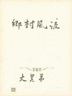 乡村风流封面