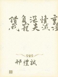 错负深情重生后,我宠夫灭渣全文免费阅读