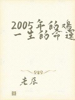 2005年的鸡一生的命运如何封面