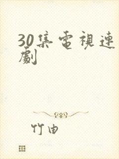 30集电视连续剧
