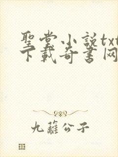 圣堂小说txt下载奇书网