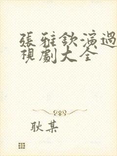 张雅钦演过的电视剧大全