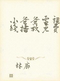 小爸爸电视剧在线播放免费封面