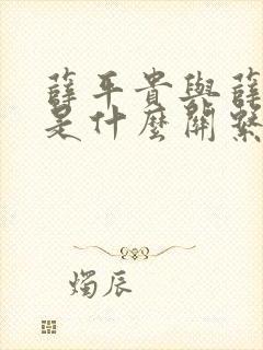 薛平贵与薛丁山是什么关系