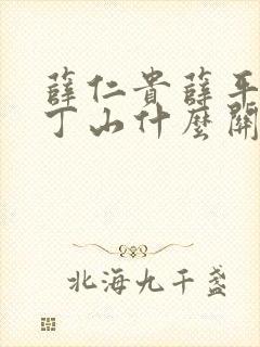 薛仁贵薛平贵薛丁山什么关系封面