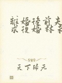 离婚后前夫哭着求复婚 林未央