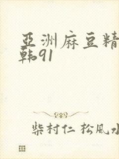 亚洲麻豆精品日韩91封面