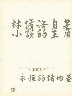 林修洛月是哪部小说的主角