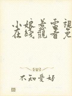 小娘惹电视剧集在线观看免费