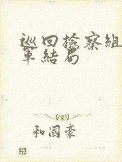 巡回检察组沈广军结局