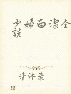 少妇白洁全部小说