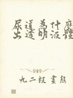 尿道为什么会流出透明液体