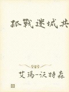 孤战迷城共几集