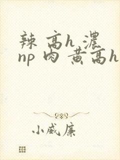 辣 高h 浓 np 肉 黄高h封面
