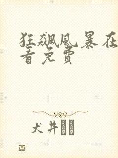 狂飙风暴在线观看免费