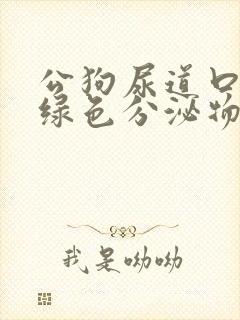 公狗尿道口有黄绿色分泌物是什么原因