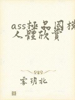 ass极品国模人体欣赏