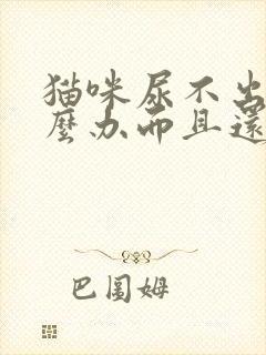 猫咪尿不出尿怎么办而且还有血