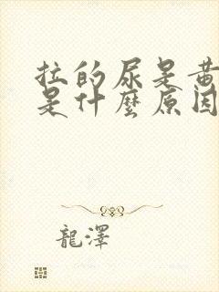 拉的尿是黄色的是什么原因