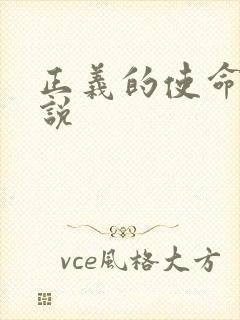 正义的使命 小说