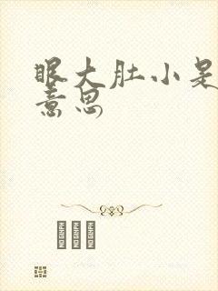眼大肚小是什么意思封面