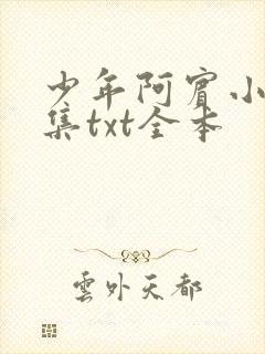 少年阿宾小说全集txt全本