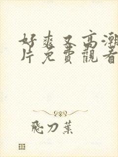 好爽又高潮了毛片免费观看