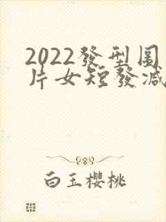 2022发型图片女短发减龄