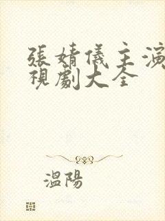 张婧仪主演的电视剧大全