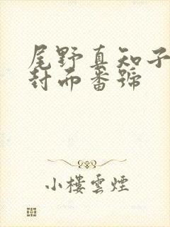 尾野真知子全集封面番号