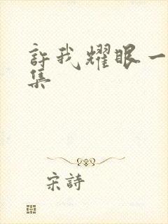 许我耀眼一共几集封面