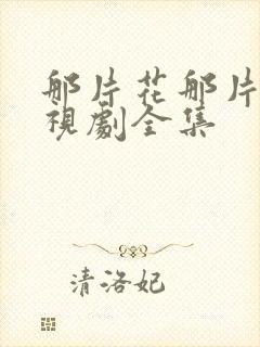 那片花那片海电视剧全集封面