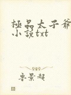 极品太子爷唐生小说txt封面
