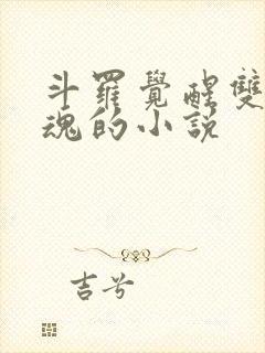 斗罗觉醒双生武魂的小说