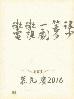 微微一笑很倾城电视剧多少集