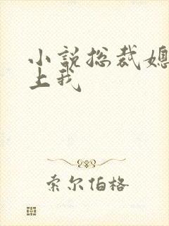 小说总裁媳妇爱上我封面